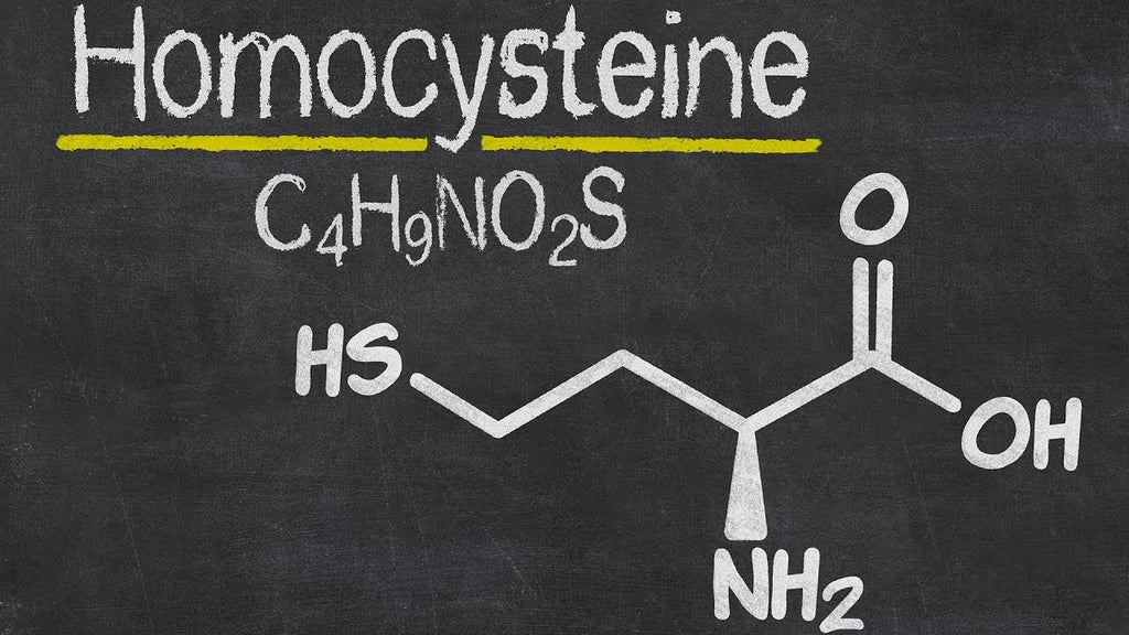 What Homocysteine Levels & MTHFR Mean to You!