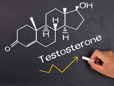 Testosterone for Vaginal Dryness & Muscle Wasting in Women