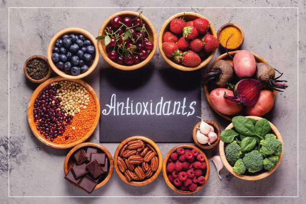 Antioxidants: The Key to a Healthy Body