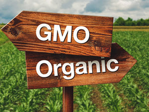 GMO vs. Non-GMO