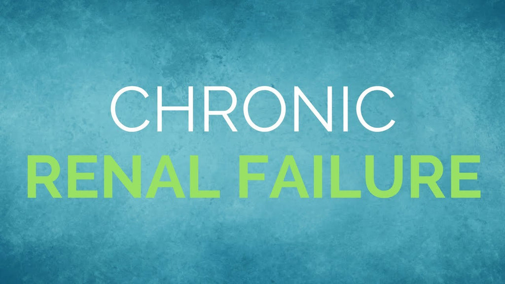 What Can Help Chronic Renal Failure?